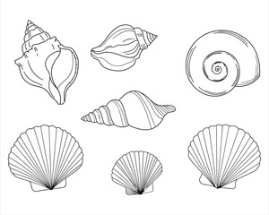 A colorful collection of assorted seashells, including scallops and conchs, rests on a sandy bacha colorful collection of assorted seashells, including scallops and conchs, rests on a sandy beach