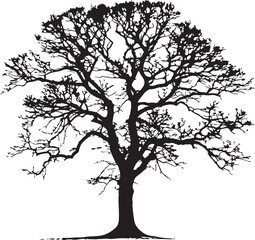 Obraz premium Silhouette of a large deciduous tree with intricate branches and no leaves Keywords: silhouette, tree, deciduous, branches, intricate, bare, winter, nature, outline, black and white, isolated