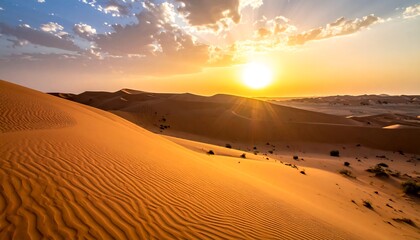 Golden desert sunset