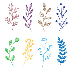 Colorful Floral Branch Line Art Set. Unique Designs