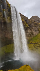 The majestic Seljalandsfoss waterfall plunges powerfully from a tall cliff covered in vibrant green moss, crashing into a misty pool below, capturing the raw beauty of this iconic Icelandic landmark.