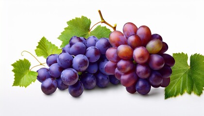 Fototapeta premium fresh grapes arrangement on transparent background isolated on white background