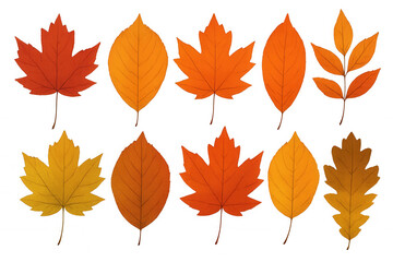 Naklejka premium Set of realistic colorful autumn leaves falling from trees on transparent background, creating a vibrant and seasonal image