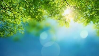 abstract dreamy background of soft focused lush green tree leaves against a bright blue sky with a warm sun flare creating a bokeh effect perfect for spring or summer themes