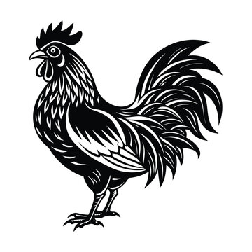 Rooster Svg