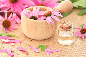 Echinacea flower essential oil or extract in glass  bottle, naturopathy and natural medicine concept