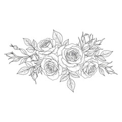 Fototapeta premium Vector art of a detailed line drawing of a rose bouquet with leaves