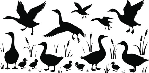 Set of Goose and Duck Silhouettes, a Vector Collection of Waterfowl and Their Goslings for Nature and Wildlife Graphics.