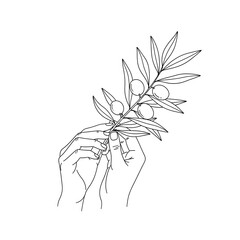 Minimal black and white line art of hands holding olive branch, clean design