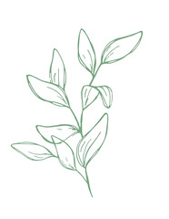 green leaves vector