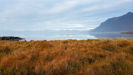 Fototapeta premium Golden autumn grass covers the foreground leading to calm, misty waters of a fjord, with the majestic, mysterious peaks of the Vestrahorn mountain range rising in the soft, diffused light of Iceland.