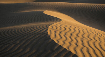 Golden hour light casts dramatic shadows across rippling desert sand dunes, evoking a sense of vastness and serene beauty.