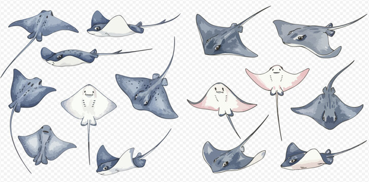 Watercolor illustration featuring a collection of various stingray species in different poses and colors.