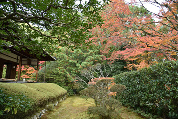 妙心寺塔頭　桂春院　秋の真如の庭(京都市右京区)