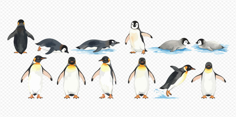 A collection of watercolor illustrations depicting various emperor penguin adults and chicks in different poses and activities.