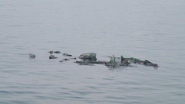 trap for small fish on the surface. Sandakan, Malaysia