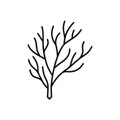 Simple tree branch line drawing on transparent background