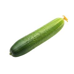 Fresh green cucumber isolated on transparent background