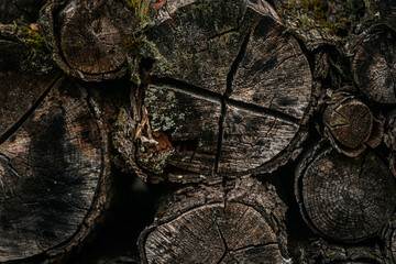 Close-up of stacked firewood logs showing detailed tree rings, cracks, and dark textured surfaces.