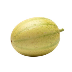 Yellow cantaloupe melon isolated on transparent background