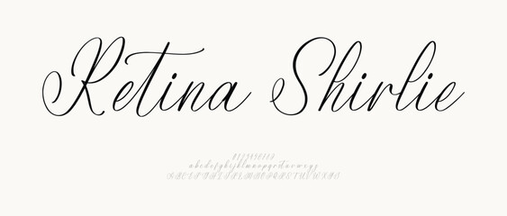 Hand drawn vector alphabet. Modern monoline signature script font. Elegant Signature Font. Best Alphabet Beautiful Calligraphy Signature Font. vector illustration 
