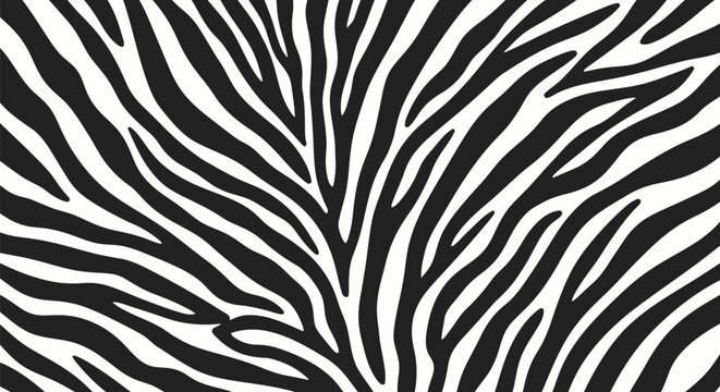 Abstract Zebra Stripes Pattern Black and White Animal Print Design.