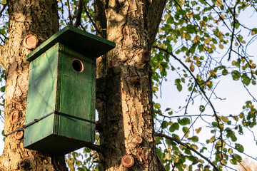 Birdhouse on a tree trunk in autumn, selective focus.