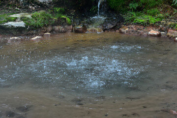 Natural Bubbling Hot Spring in the Azores
