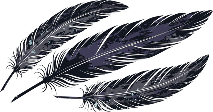 Vector art of three dark feathers with intricate details, symbolizing elegance, mystery, and the beauty of nature in a classic style