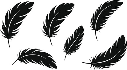Vector art of collection of black feather illustrations, featuring various shapes and styles for graphic design and decoration