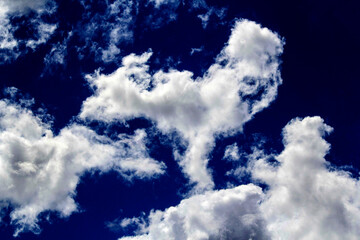 A bright blue sky filled with fluffy white cumulus clouds