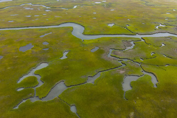 Narrow channels meander through a beautiful salt marsh on Cape Cod, Massachusetts. These natural carbon sinks are sheltered nurseries for wildlife and act as a buffer against storms and waves.
