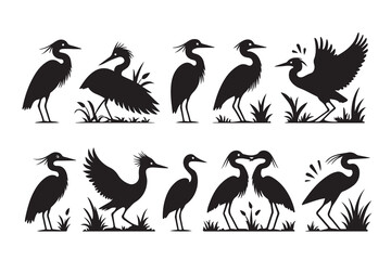 Obraz premium Black silhouettes of herons and egrets in various poses