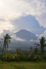 View of the mountain against a background of palm trees and a cornfield. Panorama of Agung volcano covered with clouds before sunset.