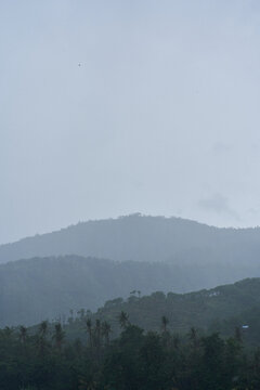 A tropical rainstorm in a rice field with cascading mountains and palm trees.