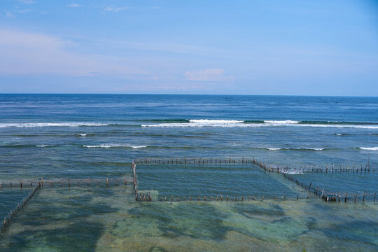 A local seafood farm in the ocean. A net fence for mollusk farming near the shore.
