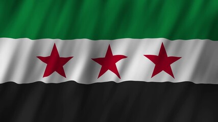 Celebrating national pride with the Syrian flag during a festival