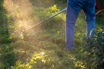 Man mowing grass with trimmer in sunlight with wheelbarrow nearby