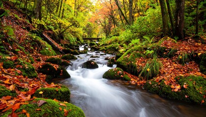 Autumnal stream flowing through a forest