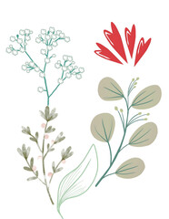 set of floral elements