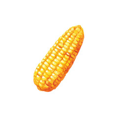 Golden corn cob isolated on black background