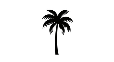 Silhouette of a palm tree on white background for design projects
