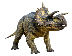 Centrosaurus is a genus of herbivorous ceratopsian dinosaur from the Late Cretaceous, Centrosaurus isolated on white background with clipping path