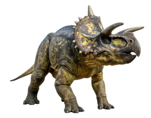 Centrosaurus is a genus of herbivorous ceratopsian dinosaur from the Late Cretaceous, Centrosaurus isolated on white background with clipping path
