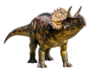 Centrosaurus is a genus of herbivorous ceratopsian dinosaur from the Late Cretaceous, Centrosaurus isolated on white background with clipping path