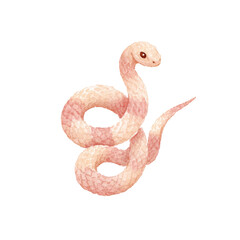 Obraz premium Illustrated pink snake on black background with coiled body and serene expression