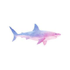 Obraz premium Watercolor shark art: vibrant ocean predator in pastel colors