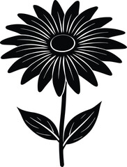 Black Eyed Susan Silhouette Graphic | Black Eyed Susan Flower Outline Vector