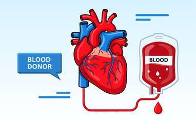 Human heart connected to blood bag for donation and transfusion medical concept