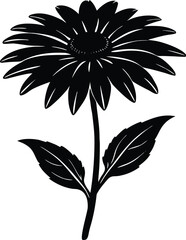Rudbeckia Flower Silhouette Vector | Rudbeckia Bloom Outline Illustration